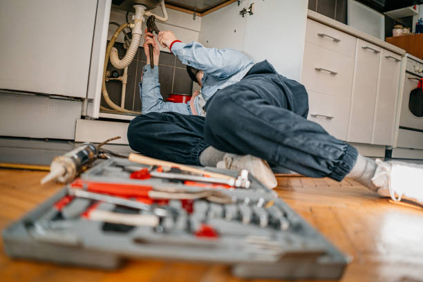 Best Same-Day Plumbing Service  in Swisher, IA