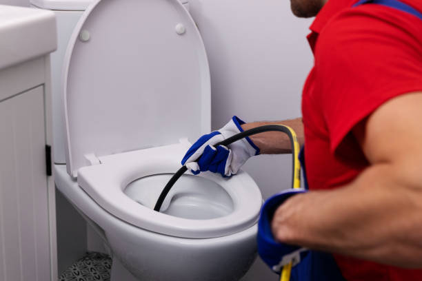Best Clogged Drain Plumber  in Swisher, IA