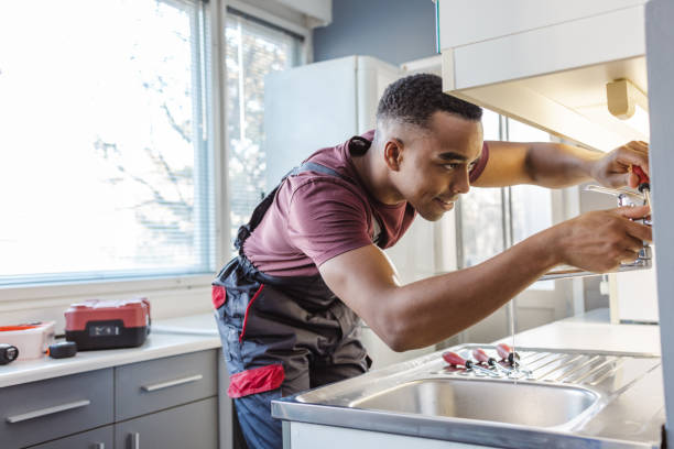 Best Local Plumber Services  in Swisher, IA